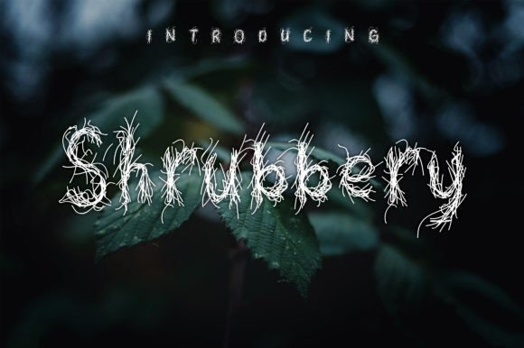 Shrubbery: A Cool Display Font for Creative Impact