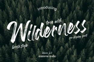 Wilderness: Authentic Brush and Pencil Display Font